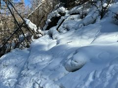 -峡谷浮石林景区