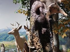 -陕西自然博物馆