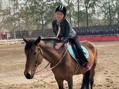 -北京群众马术培训基地