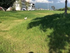-翠田Green Field Kitchen
