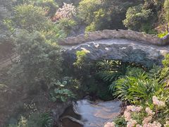 -南丹山森林王国