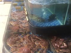 -大门水乡·顺德菜