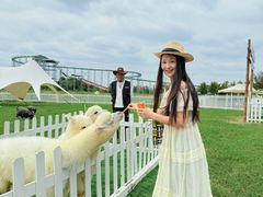 -枫林花海
