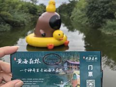 -黄海国家森林公园