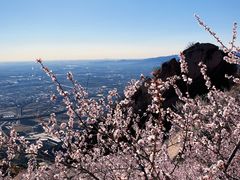 -北京凤凰岭
