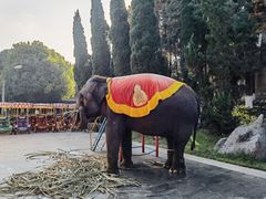 -云南民族村