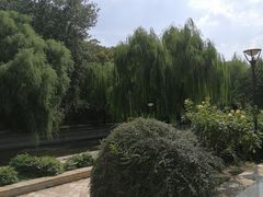 -元大都城垣遗址公园