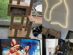 -有猫主题·治愈系猫咖(曾厝垵店)