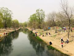 -奥林匹克森林公园北园-停车场
