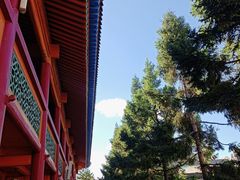 -西宁市东关清真大寺