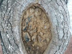 -四川省体育馆羽毛球馆