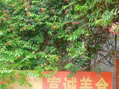 景观位-富诚美食