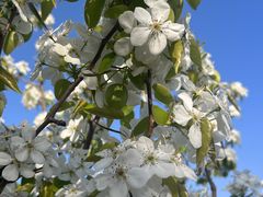 -北镇龙岗子生态园