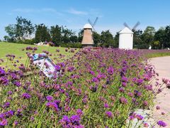 -歌斐颂巧克力小镇