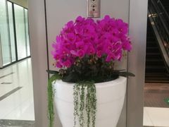 店内环境-远洋未来广场(育慧北路店)