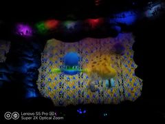 -郑州方特梦幻王国