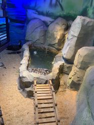 -酷嗒动物文化乐园(cutezoo西溪乐天城店)