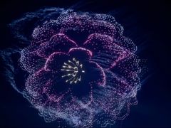-武昌江滩