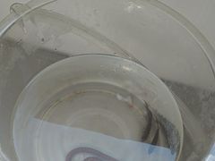 -小猫钓鱼海钓俱乐部(椰梦长廊店)