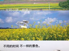 -光明小镇欢乐田园
