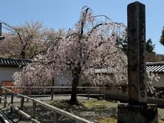-醍醐寺