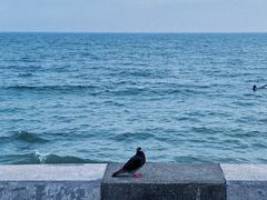 -灌篮高手动画打卡地