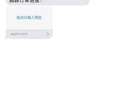 -Apple零售店(中街大悦城店)