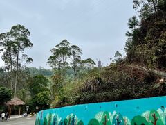 -大雁山风景区