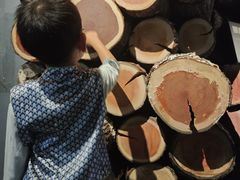 -武汉园博园(武汉自然博物馆)