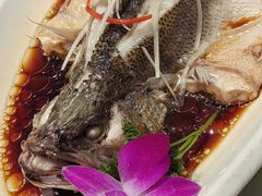 -刘胖子家常菜·蹄花焖藕(富安街店)