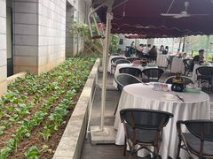 -鹿鸣酒家(越秀店)