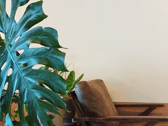 -一杯潮茶·专注潮汕茶饮(朝阳庄店)