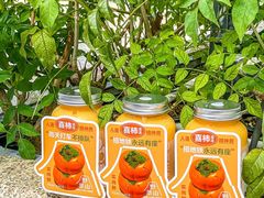 -野萃山·潮汕厚果汁(十亩地店)