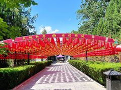 -大槐树寻根祭祖园