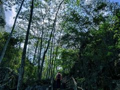 -三门海