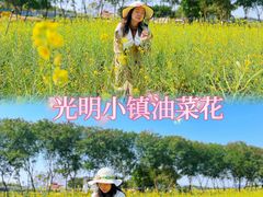 -光明小镇欢乐田园