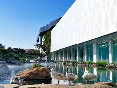 -罗红摄影艺术馆