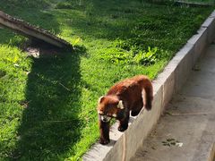 -水上乐园·欢乐世界