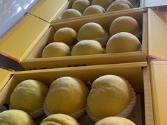 -南汇新场正宗水蜜桃采摘