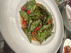 口水豆角-老铺烤鸭(宝鸡店)