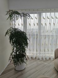 -HEYAN荷妍专业脱毛连锁机构