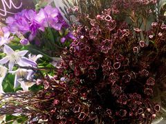 -双季花艺园艺市场(浦东店)