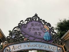 游乐设施-上海迪士尼度假区