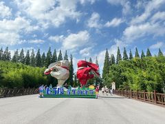 -黄海国家森林公园