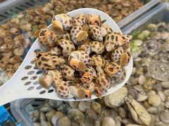 -阿胖龙虾小海鲜(宁国南路总店)