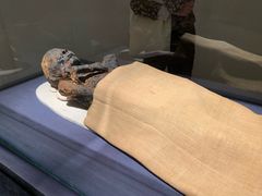 -浙江西湖美术馆
