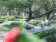 -广西大学(大学东路校区)
