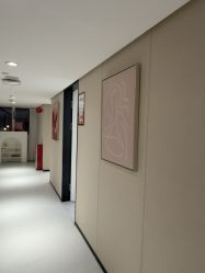 -广东韩妃整形外科医院