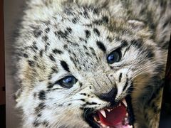 -中国湿地博物馆