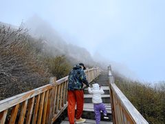 -白草畔自然风景区